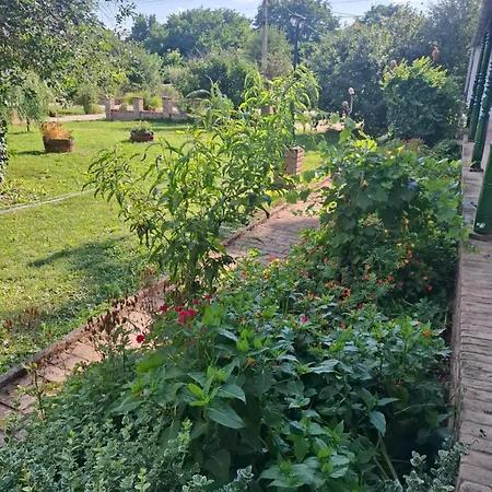 Szent Florian Vendeghaz Guest house *